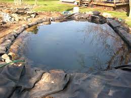 I used a calculator to determine pond is approx 200 gallons. Pics Of Connecting Two Ponds