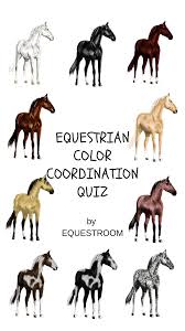 Coat Color Coordination Quiz By Equestroom Check It And See The Match Match For Your Horse Equine Eques Horse Coat Colors Coordinating Colors Equestrian