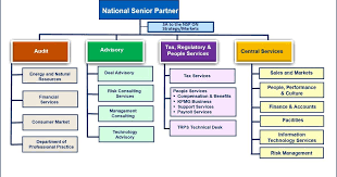 Kpmg Orgnizational Structure Related Keywords Suggestions