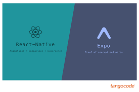It takes a lot of the complexity away. React Native And Expo Experience Tangocode
