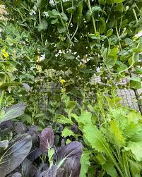 Restless Mind. When you can't put your mind at ease before bed. In  collaboration with @ronroco.audio who crafted this amazing audio. Love the  intricate layers of sound. This was my submission for @