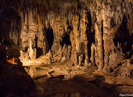 Gear up and get ready for campfires, changing leaves and cool breezes! Florida Caverns State Park 24 Of 40 Chapter 3 Travels