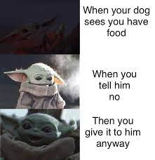 Sheriff Baby Yoda On Instagram Gave Dog Food I Did Piece Of Choccy I Didn T Give Have Choccy Only I Yoda Funny Funny Star Wars Memes Funny Disney Memes
