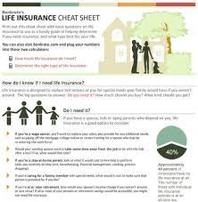 Top 10 Life Insurance Infographics Life Insurance Facts Health Insurance Infographic Life Insurance For Seniors