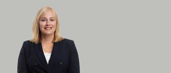 Image result for Blendtone Gray 1983 Hussmann