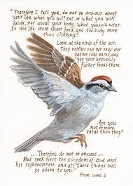 Birds Of The Air Bible Meaning Christian Wall Art Print Bible Verse Art Sparrow Painting With Christian Scripture Luke 6 Chris Bible Verse Wall Art Bible Verse Art The Kingdom Of God