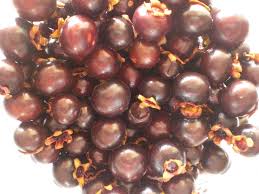 Archivado el 13 de abril de 2014 en la wayback machine. Voce Ja Comeu Guabiraba Conheca Mais