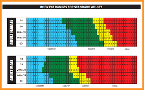Printable Body Fat Percentage Chart Bio Letter Format
