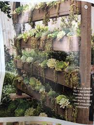 Vertical Succulent Wall To Create Shade In A Yard Succulent Garden Diy Succulent Wall Garden Succulent Wall Planter
