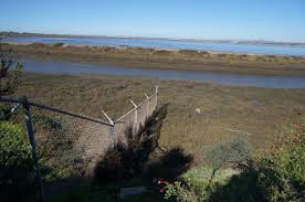 South bay five star fence company. Enhancing Our South San Diego Bay Wetland Habitat And Recreation Areas The Wildcoast Blog