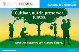 Desde el año 2001 y hasta la actualidad, también han aumentado exponencialmente los planes sociales. Dia Mundial De La Alimentacion
