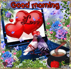 Https Encrypted Tbn0 Gstatic Com Images Q Tbn And9gcqcog0scwhl7jzqtcxy0hyi2nw4aek0bpb7ag Usqp Cau