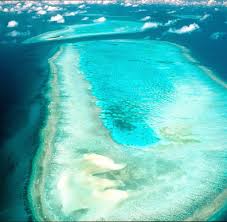 Das naturwunder vor der australischen küste ist akut von der zerstörung bedroht. Nach Tanker Ungluck Great Barrier Reef Vor Umweltkatastrophe Gerettet Welt