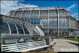 Botanischer Garten Berlin Botanischergartenberlin Dahlem Steglitz Berlin Deutschland Germany Biancabuergerphotogra Instagram Instagram Posts Photography