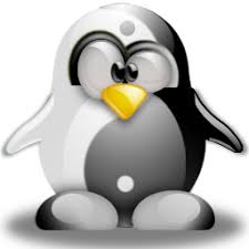 Epingle Par Gloria Bauer Sur Tux Pingouin Petit Pingouin Jeux