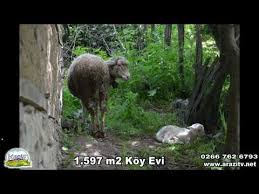 Balikesir Gonen Kesif Arazi Pazari 1 597 M2 Koy Evi Ve Arsasi Fiyat 60 000 Tl Youtube 2020 Koy Evi Kesif Youtube