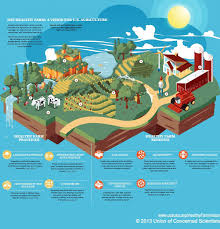 Healthy Farm Agriculture Design Agriculture Farm