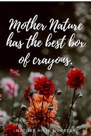 It S True Thank You For All The Inspiration Mother Nature Gardening Quotes Inspiration Mother Nature Quotes Nature Quotes Nature Quotes Inspirational