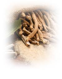 Image result for Rauvolfia vomitoria