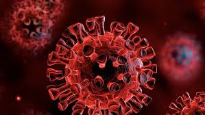 15 probe suspecte la tulpina delta a coronavirusului vor fi trimise în germania pentru testare. AlertÄƒ AdevÄƒrata Epidemie Abia UrmeazÄƒ Tulpina Delta Ar Fi In Moldova Stiri Md Stiri Md