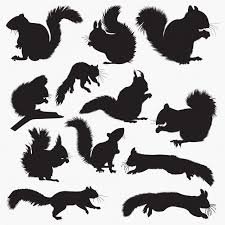 We did not find results for: Squirrel Svg Files For Cricut Squirrel Vector Squirrel Clipart Squirrel Cut File For Silhouette Squirrel Plasma Dxf Png Eps Squirrel Design Digital Art Collectibles Vadel Com