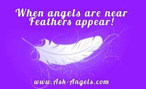 Learn Angel Feather Meanings What Do White Feathers Mean