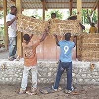 cooperazione - le News di professione Architetto