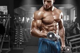 Men S Blue Bottoms Man Workout Gym Working Hd Wallpaper Bodybuilding Workouts Bodybuilding Biceps Workout