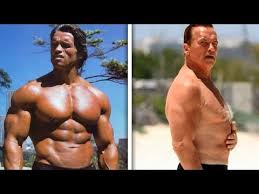 Arnold Schwarzenegger 72 Years Body Transformation A True Terminator Youtube Arnold Schwarzenegger Schwarzenegger Transformation Body