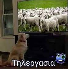 Memes is your source for the best & newest memes, funny pictures, and hilarious videos. 120 My Darling Ideas In 2021 Anekdota Asteies Atakes Asteies Eikones