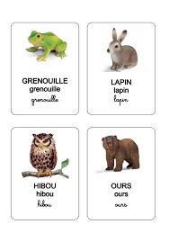 Les Animaux De La Foret Animaux Foret Pedagogie Montessori Education Enfant