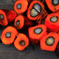 Red Palm Oil Benefits You Should Know Red Palm Oil Palm Oil Benefits Red Palm