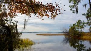 Best voted campgrounds in tallahassee, florida. Fee Changes 2019 Ocala Apalachicola Osceola National Forests Florida Hikes