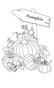 These alphabet coloring sheets will help little ones identify uppercase and lowercase versions of each letter. 30 Free Printable Pumpkin Coloring Pages
