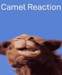 Tickling involves touching sensitive body parts, such as the stomach or armpits, to cause involuntary laughter. Xvhtlyclzvlkmm