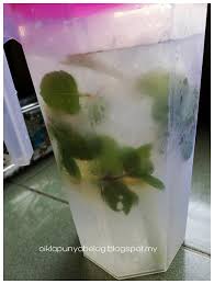 Memang tak sah kalau tak singgah beli. Air Detoks Paling Segar Di Dunia Gabungan Serai Lemon Dan Daun Pudina Yang Di Petik Segar Dari Kebun Kecilku Ciklapunyabelog Blogspot My