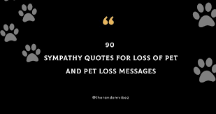 Four legs, a big heart, it was love from the start. 90 Sympathy Quotes For Loss Of Pet And Pet Loss Messages