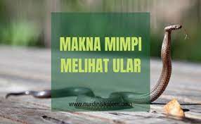 Check spelling or type a new query. Mimpi Ular Tedung Hitam Menurut Islam Ia Merefleksikan Hasrat Sebuah Hubungan Percintaan