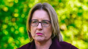 Great Barrier Reef destruction warning has become reality