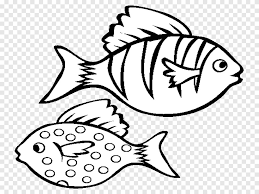 Maybe you would like to learn more about one of these? Menggambar Buku Mewarnai Sketsa Ikan Ikan Putih Anak Png Pngegg