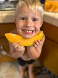 Cantaloupe from farmers market