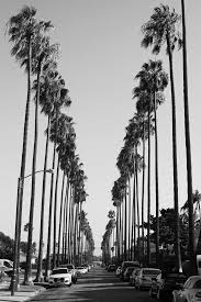 Pin On Amazing Photos