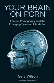 Your Brain on Porn: Internet Pornography and the Emerging Science of  Addiction, (Paperback) - Walmart.com