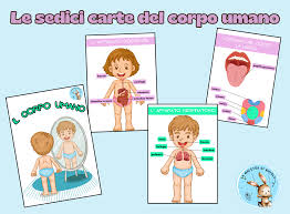 "Le forme del corpo"