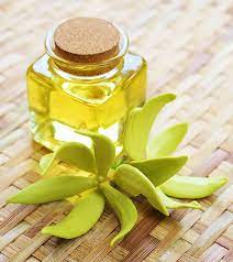 If you've had any experiences with this essenial oil, i would love to hear about it! 11 Benefits And Uses Of Ylang Ylang Essential Oil For Health Skin Hair