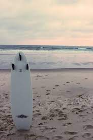 Happiness Surfing Pictures Surfing Surfing Aesthetic