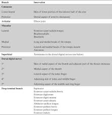 Below are some triceps exercises that zone in on the medial head: Medial Epicondyle Of The Humerus An Overview Sciencedirect Topics
