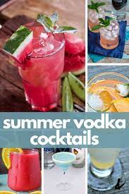 Summer is all about laid back, seasonal drinks! Refreshing Summer Vodka Drinks Summer Vodka Cocktails Vodka Cocktails Summer Vodka Drinks