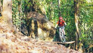 This is a video of the first half of red mountain park in birmingham alabama. The Top Five Mountain Bike Trails In Alabama