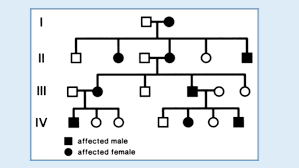 Pedigree Chart Autosomal Inheritance